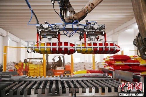 中国镍都 化工循环产业链上下游的变废为宝与共生发展