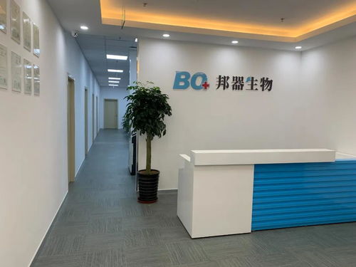 全力推进技术开发，构筑未来发展新优势