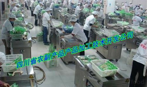 红薯脯加工设备供应与技术创新解析 食品科技网助力产业升级